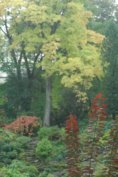 foto: botaanikaaed 2005