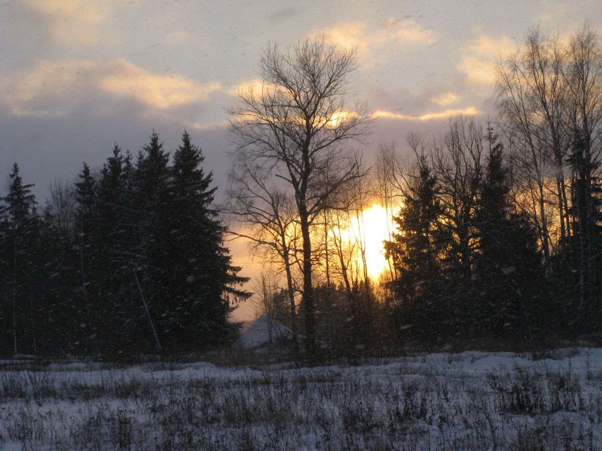 foto: Talvine päike Mõisavahe tänavas 25.12.2014