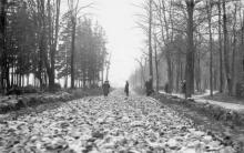 foto: Tähtvere pargi tee ehitustööd 1928. a