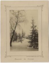 foto: Toomemägi talvel 1880ndatel või 1890ndatel