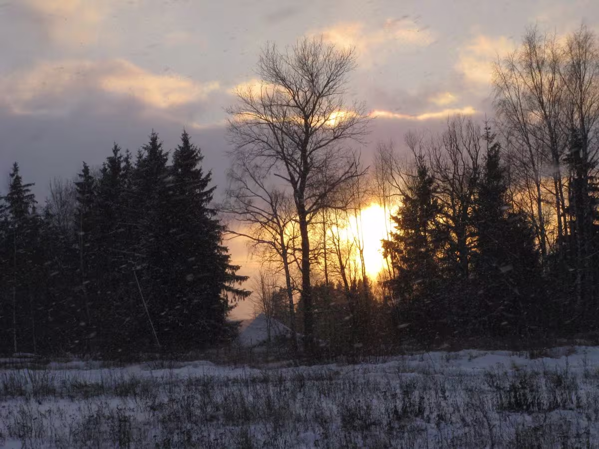 foto: Talvine päike Mõisavahe tänavas 25.12.2014