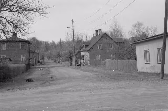foto: Koerad Marja tänaval 1997. a.