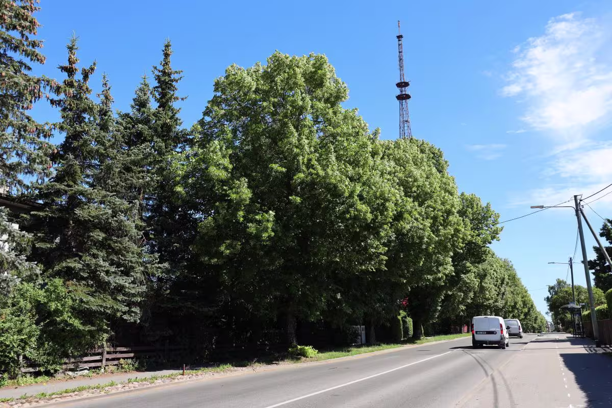 foto: Soinaste tänav Riia tänavast vaadatuna 26.06.2024